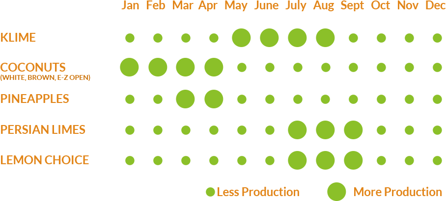 Availability Chart