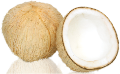 Category Coconut
